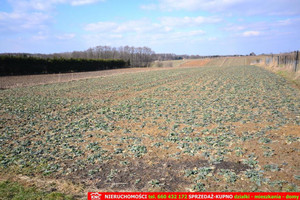 Działka na sprzedaż 6800m2 lubelski Konopnica Motycz - zdjęcie 1