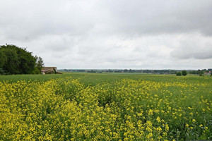 Działka na sprzedaż 8650m2 świdnicki Piaski Wierzchowiska - zdjęcie 2