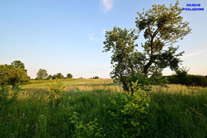 Działka na sprzedaż puławski Nałęczów - zdjęcie 1