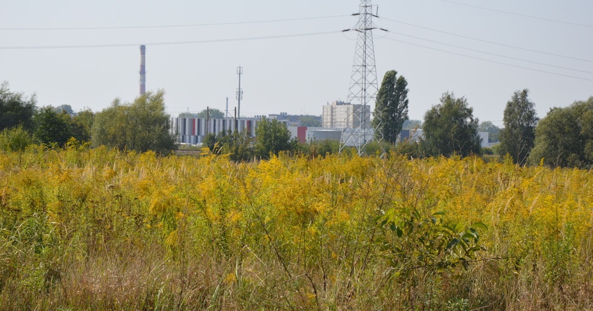 Działka Lublin-Zadębie inwestycyjna/budowlana