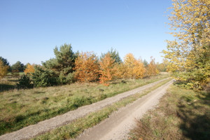 Działka na sprzedaż lubartowski Lubartów Nowodwór-Piaski - zdjęcie 1