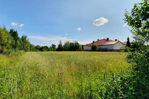 Działka na sprzedaż lubelski Jastków Dąbrowica - zdjęcie 1