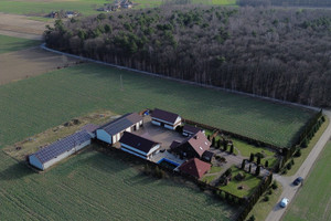 Dom na sprzedaż 200m2 lubelski Niedrzwica Duża - zdjęcie 1