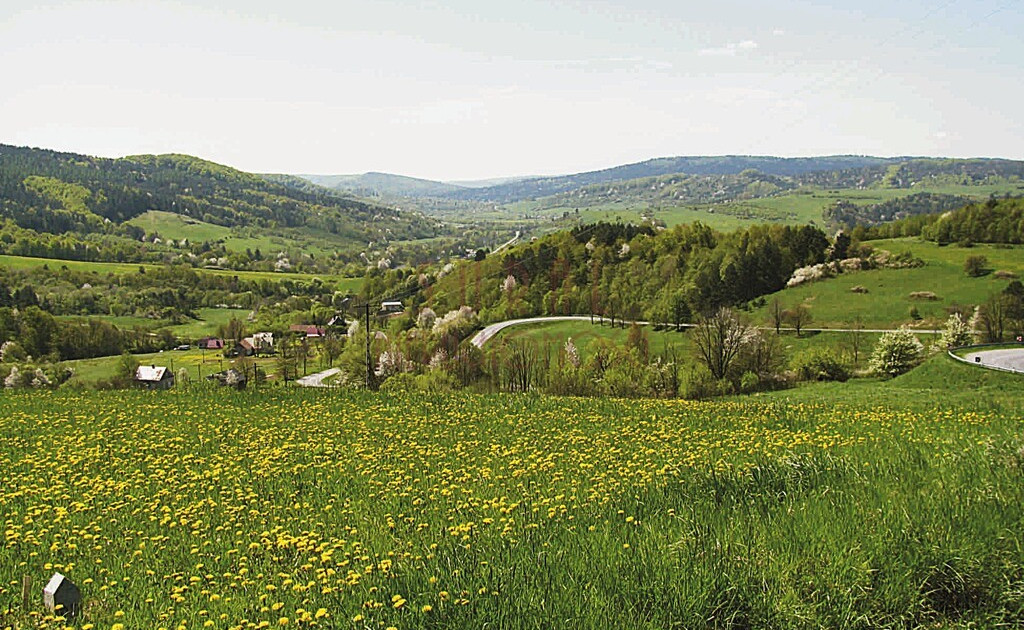 Kulaszne/Bieszczady/działka widokowa