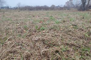 Działka na sprzedaż 1000m2 pruszkowski Nadarzyn Rusiec - zdjęcie 3