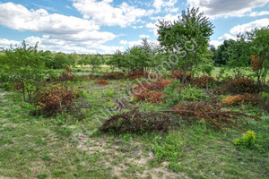 Działka na sprzedaż 1120m2 pruszkowski Brwinów Kanie - zdjęcie 1