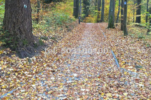 Dom na sprzedaż 290m2 nowosądecki Krynica-Zdrój - zdjęcie 3