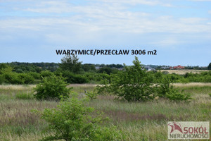 Działka na sprzedaż 3000m2 policki Kołbaskowo Warzymice - zdjęcie 1