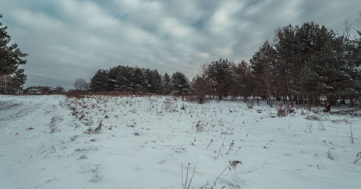 Na sprzedaż piękna działka Rybnik-Kamień