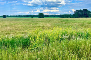 Działka na sprzedaż 15000m2 piaseczyński Tarczyn Kotorydz - zdjęcie 1