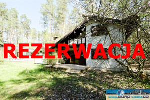 Dom na sprzedaż 600m2 poznański Murowana Goślina Wojnówko - zdjęcie 1