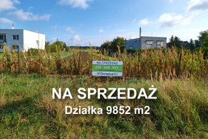 Działka na sprzedaż 9852m2 Poznań Szczepankowo-Spławie-Krzesinki Spławie Szczepankowo - zdjęcie 1