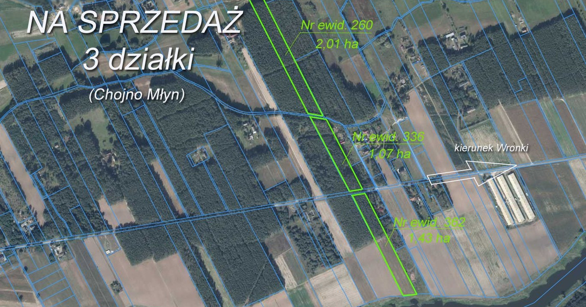Zalesione lasem sosnowym działki nad Wartą, Chojno