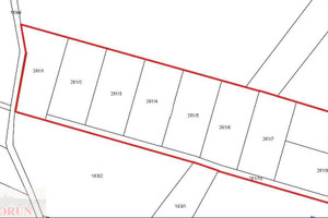 Działka na sprzedaż 18000m2 toruński Czernikowo - zdjęcie 2