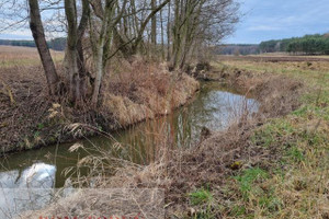 Działka na sprzedaż 12400m2 golubsko-dobrzyński Kowalewo Pomorskie Pruska Łąka - zdjęcie 1