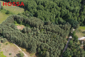 Działka na sprzedaż 10001m2 skierniewicki Skierniewice Budy Grabskie - zdjęcie 1