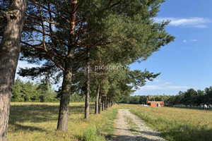 Działka na sprzedaż 3003m2 piaseczyński Prażmów Piskórka - zdjęcie 3