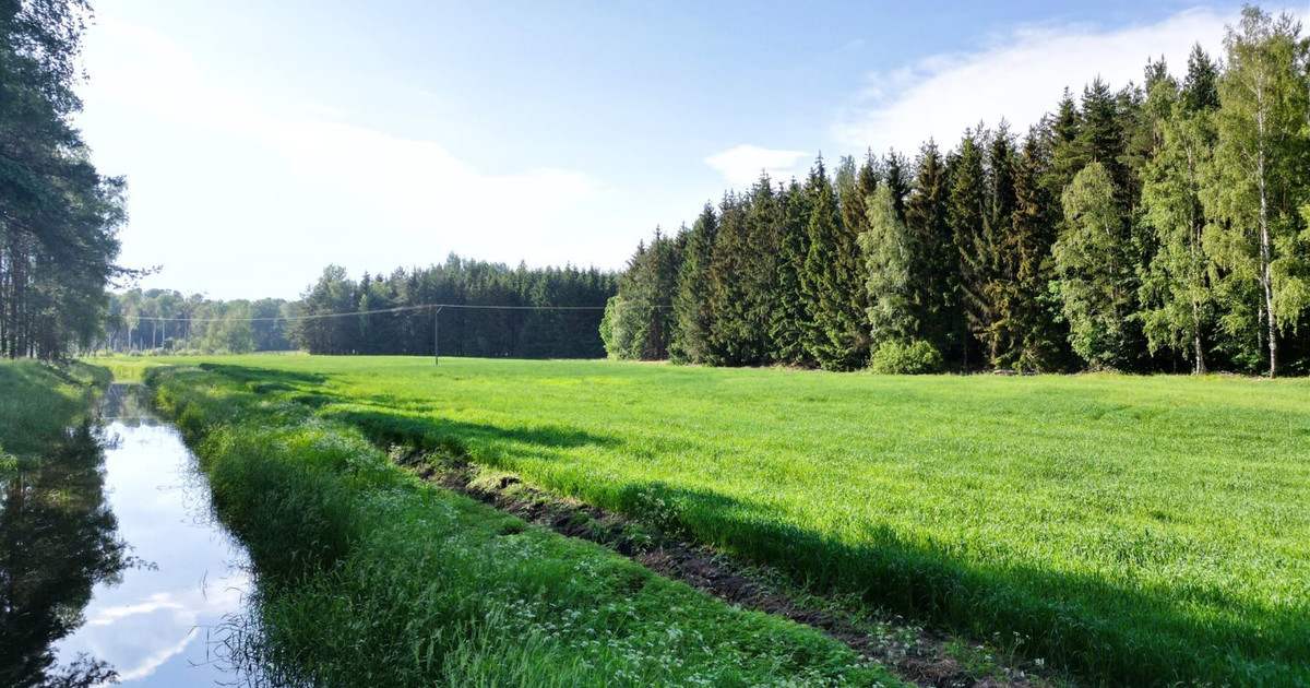 Magiczne miejsce, zamieszkaj w sercu natury