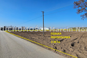 Działka na sprzedaż 23865m2 kutnowski Krzyżanów - zdjęcie 2