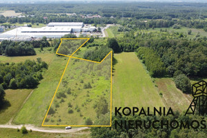 Działka na sprzedaż 10380m2 rybnicki Lyski Zwonowice - zdjęcie 1