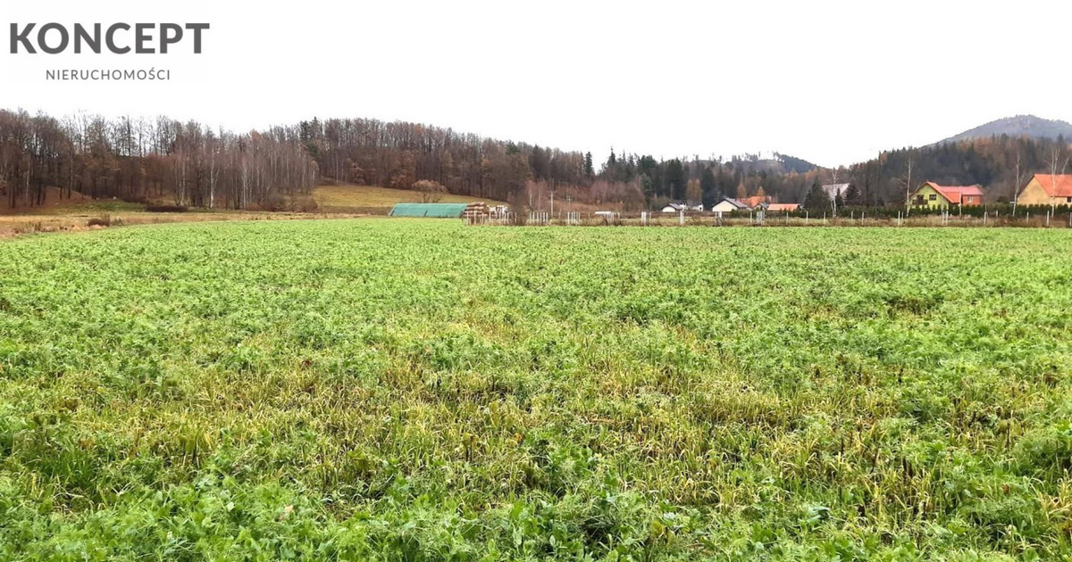 Działka rolna na sprzedaż w Wojanowie