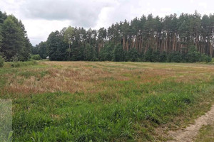 Działka na sprzedaż 14500m2 białostocki Zabłudów Kudrycze - zdjęcie 1