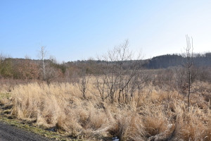 Działka na sprzedaż 10100m2 Zielona Góra - zdjęcie 1