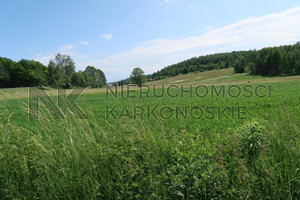 Działka na sprzedaż 350000m2 karkonoski Stara Kamienica - zdjęcie 2