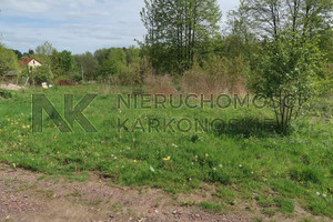 Działka na sprzedaż 1281m2 karkonoski Podgórzyn Staniszów - zdjęcie 3