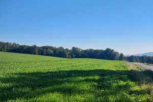 Działka na sprzedaż 9056m2 oświęcimski - zdjęcie 1