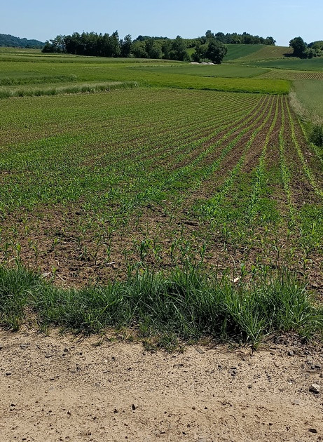 Działka rolna pod inwestycje przy autostradzie