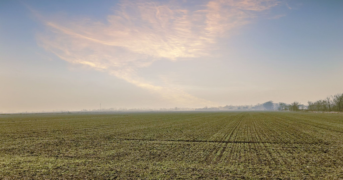 Piękna działka budowlana 1250 m2
