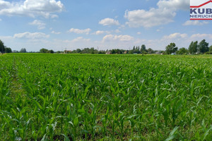 Działka na sprzedaż grodziski Baranów Żaby - zdjęcie 1