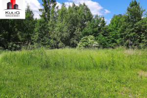 Działka na sprzedaż 1500m2 krakowski Zabierzów Burów Burów - zdjęcie 1