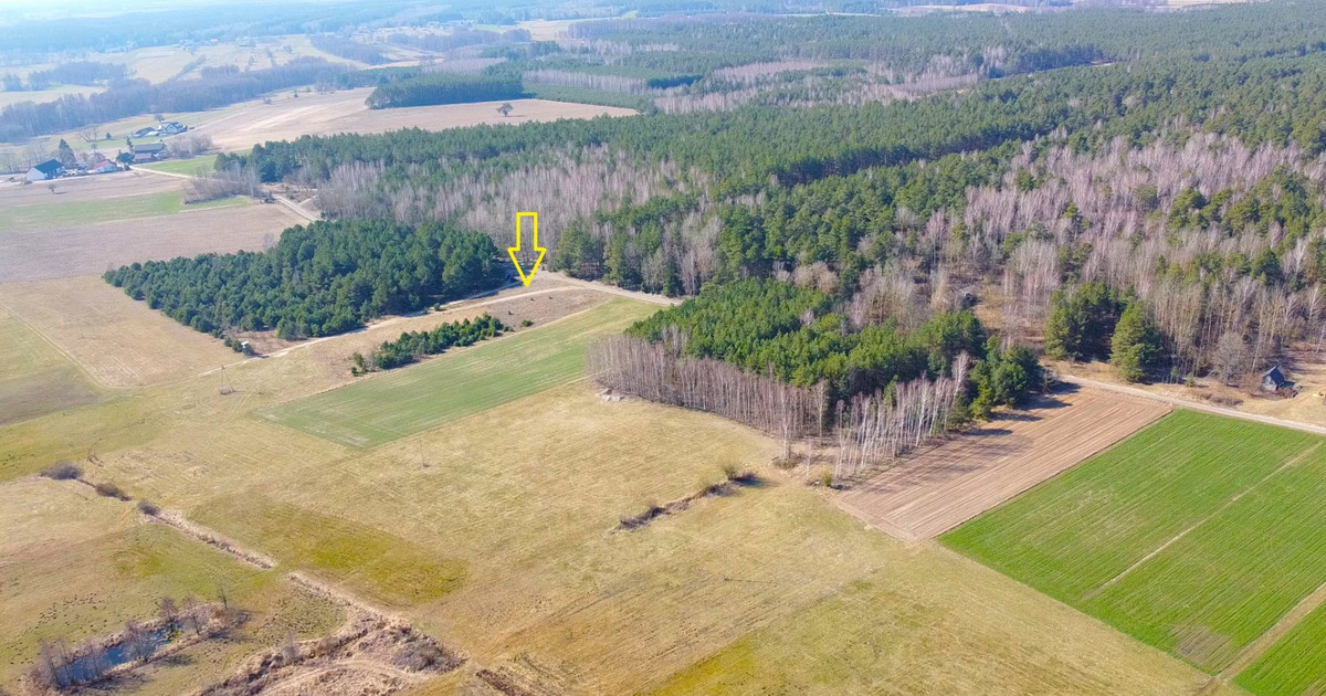 Działka w otulinie lasów i łąk z MPZP - 14 zł/ m²