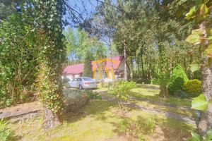 Dom na sprzedaż 81m2 przysuski Borkowice Niska Jabłonica - zdjęcie 3