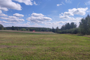 Działka na sprzedaż 3000m2 szczecinecki Borne Sulinowo Silnowo - zdjęcie 1