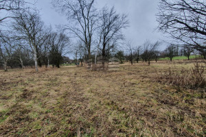 Działka na sprzedaż bydgoski Dobrcz Kozielec - zdjęcie 1