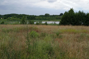 Działka na sprzedaż 2000m2 Poznań Umultowo Umultowska - zdjęcie 1