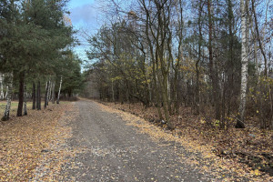 Działka na sprzedaż 3801m2 otwocki Osieck Pogorzel - zdjęcie 1