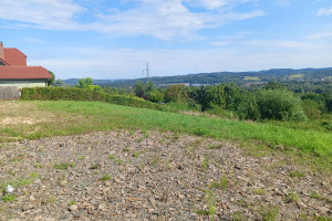 Działka na sprzedaż 12000m2 myślenicki Dobczyce Nowowiejska - zdjęcie 1