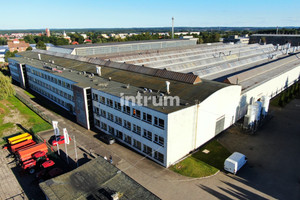 Komercyjne na sprzedaż 46733m2 olsztyński Dobre Miasto Fabryczna - zdjęcie 1