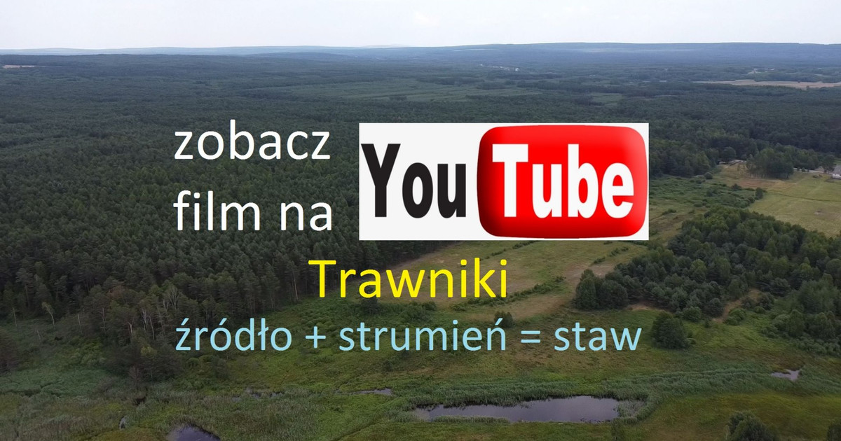 ogromna działka rolna PIĘKNE wymiary przy Lesie Państwowym