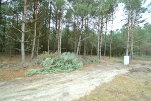 Działka na sprzedaż opolski Murów Stare Budkowice - zdjęcie 1