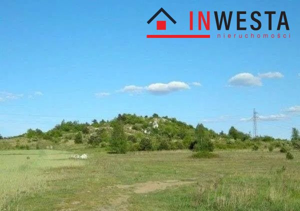 ATRAKCYJNA TANIA DZIAŁKA