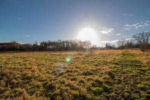 Działka na sprzedaż 889m2 żarski Żary Bociania - zdjęcie 1