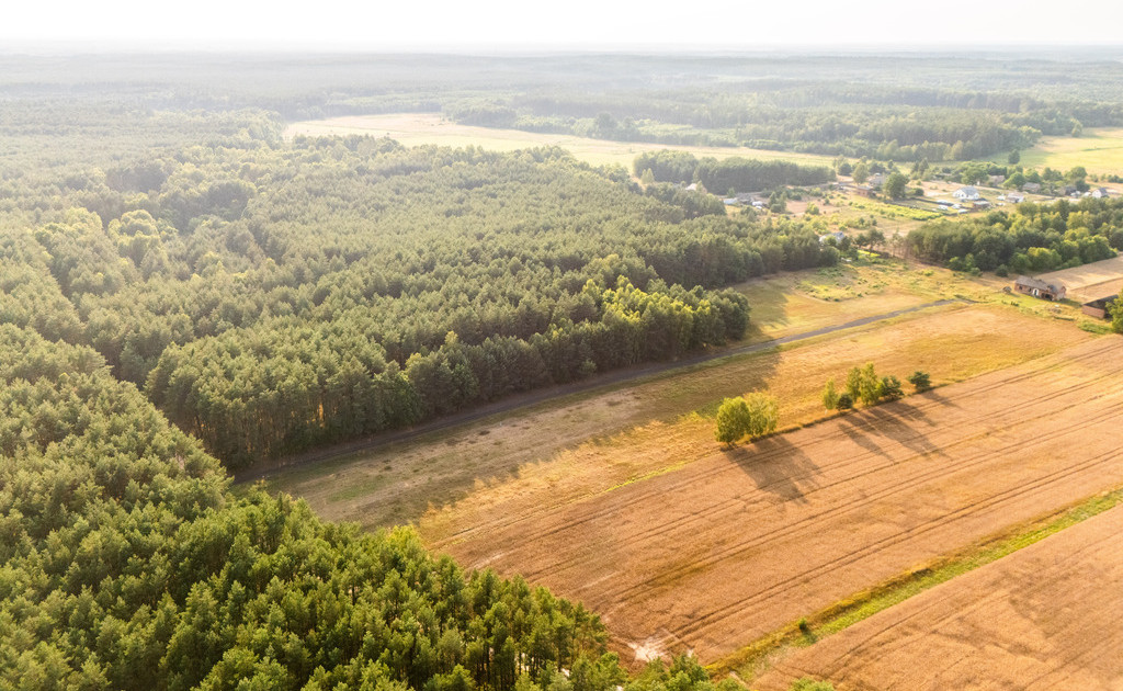 Inwestycja w ciszę: Działki z WZ za 59 tys. zł