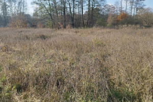 Działka na sprzedaż 6532m2 zgierski Głowno Bielawska - zdjęcie 1