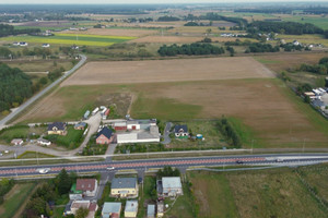 Działka na sprzedaż 32000m2 bydgoski Nowa Wieś Wielka Tarkowo Dolne - zdjęcie 1