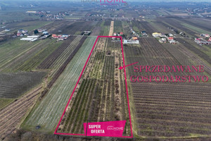 Dom na sprzedaż 88m2 sandomierski Obrazów Żurawica - zdjęcie 1